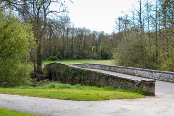 Spring in Dublin. Nature and architecture. High resolution photo.	