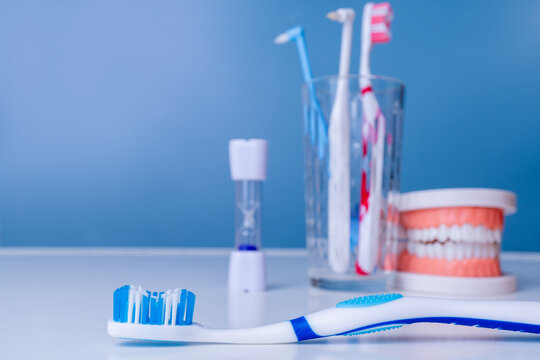 Dental hygiene tools: toothbrushes, dental model, and timer for oral care routine