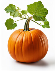 Orange pumpkin with green leaves and stem on a white background. Studio shot.