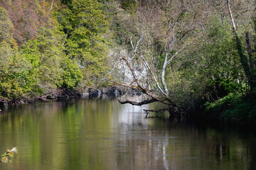 Spring in Dublin. Nature and architecture. High resolution photo.	