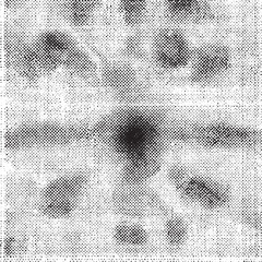 A dense array of small black dots creates a textured surface with blurred outlines.