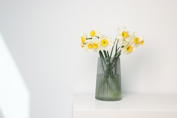 Beautiful daffodils in vase on white wooden table indoors, space for text
