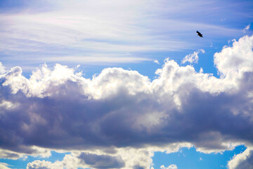 Cielo con nubes y un buitre cruzando el cielo