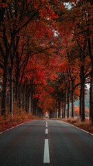 Fototapeta premium Autumn road lined with vivid fall trees and gray overcast sky