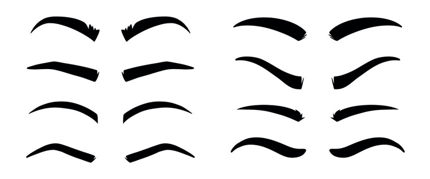 Eyebrows. Vector dark eyebrow model set of different shapes isolated on white background, thick ans arch, angle and thin eyebrows for your design