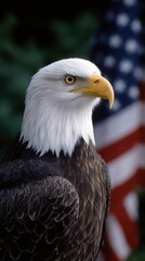 Fototapeta premium Magnificent bald eagle portrait featuring the head, feathers, and beak against blurred cultural flag backdrop