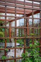 Wooden trellis with climbing vines in a garden setting with tables and chairs visible through the structure.