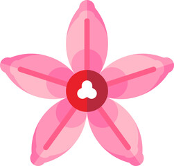 colocasia esculenta illustration on a white background     