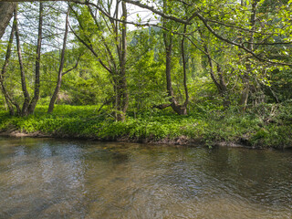 Iskar river near Pancharevo lake, Bulgaria