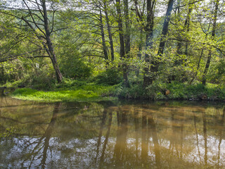 Iskar river near Pancharevo lake, Bulgaria