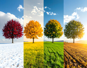 Four Seasons Tree Landscape Collage
