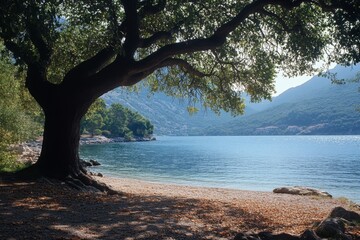Large tree with sprawling branches over calm lake surrounded by grassy area on sunny day