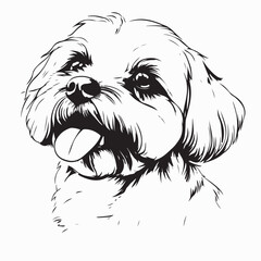 Cute Maltese dog with tongue out image vector isolated on white background.