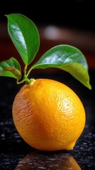 Close-up of a vibrant yellow citrus fruit with attached stem and lush green leaves on dark surface, demonstrating freshness and natural vibrancy