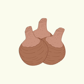 Dasheen vegetables flat design cartoon illustration