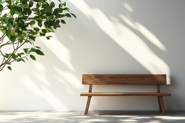 Sunlight streams onto a simple wooden bench beside a small plant.