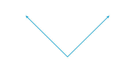 Absolute Value Graph in Mathematics.
