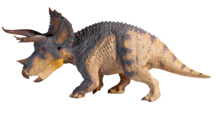 Dinosaur triceratops figure on a transparent background png
