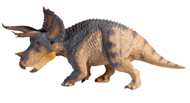Dinosaur triceratops figure on a transparent background png