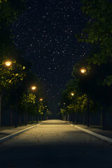 A Nocturnal Journey: The Solitude and Serenity of Nighttime Roads under Starry Skies