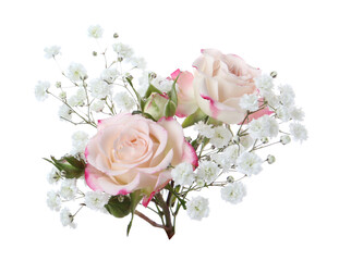 Bouquet with beautiful gypsophila and roses on white background