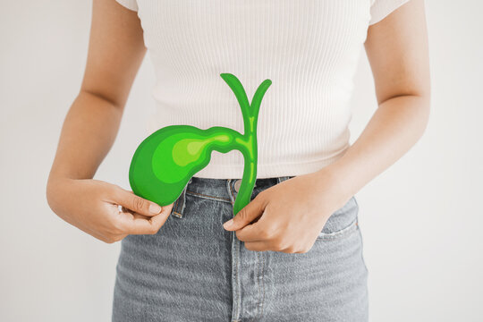 Hands holding bile duct paper cutout, bile duct obstruction, world Cholangiocarcinoma day concept
