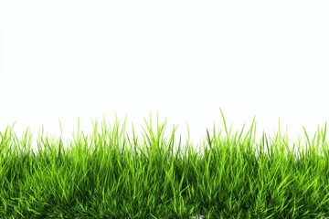 Vibrant Green Grass Blades Texture on a White Background for Springtime Theme
