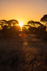 Sunset in the mountains
