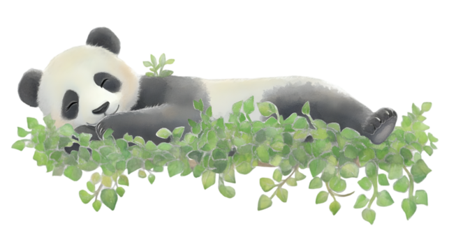 Watercolor Illustration Of A Sleeping Panda Amongst Green Leaves Isolated