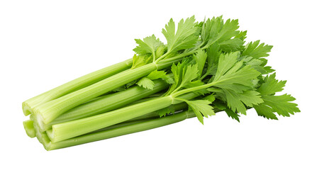 Fresh Celery Stalks Isolated on Transparent Background