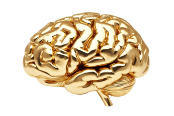 3D Render Golden Brain Isolated on a Transparent Background Concept