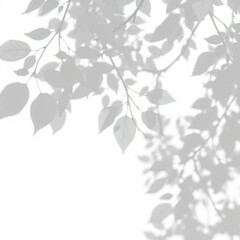 Fototapeta premium shadow overlay effect. Gray shadow of leaves isolated on white background. Plant foliage leaf shadow light effect. Mockup Blurred tree branch shadow. Ideal for summer spring design elements PNG 