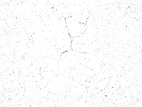 Abstract Black and White Background with Dynamic Dot and Spot Texture
