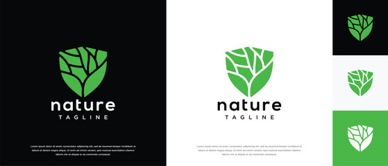 Nature security shield logo design. Shield logo design vector icon with leaves.