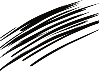 Abstract Brushstroke With Light Speckles on a Black Transparent Background Illustration