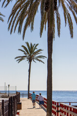 couple walking on wooden boardwalk with palm trees, sky and ocean