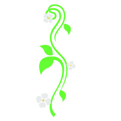 A flowing green vine with curved stems, three leaves, and four delicate white flowers with yellow centers. Perfect for elegant botanical and nature-themed designs.