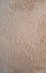 Close-up of soft light brown fur texture