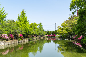 九華公園のつつじ（三重県桑名市）