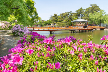 九華公園のつつじ（三重県桑名市）