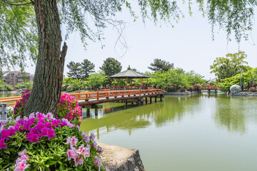 九華公園のつつじ（三重県桑名市）