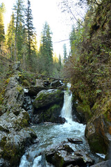 A turbulent river flows down from the mountains in a rapid waterfall surrounded by dense coniferous forest on a cloudy autumn morning.
