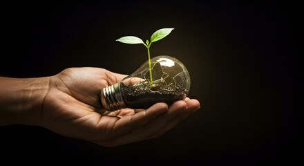 Hand holding a broken lightbulb with soil and a small plant growing inside against a dark background