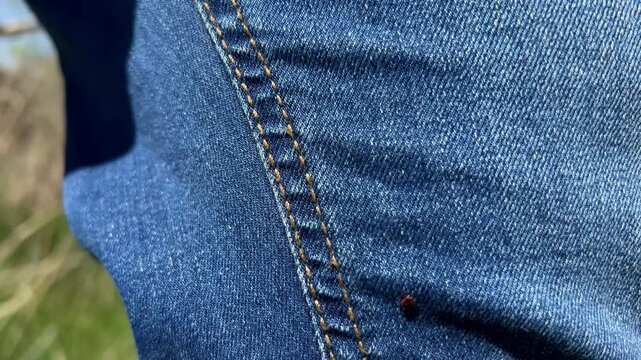 A tick crawls up his jeans, a man removes a tick from his jeans after walking in the grass.