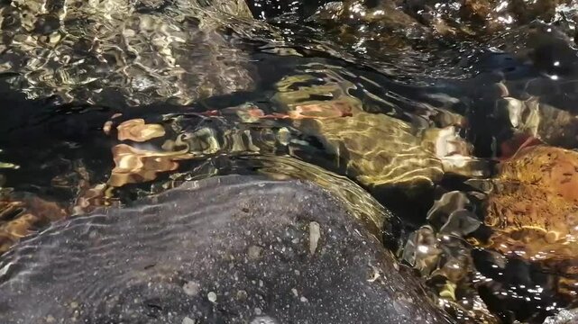 川の流れ、河原