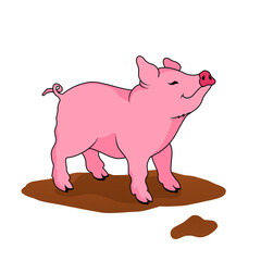 animal