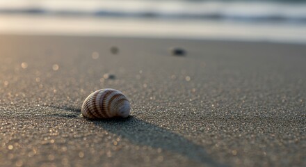 Seashell Solitude: A Coastal Dawn