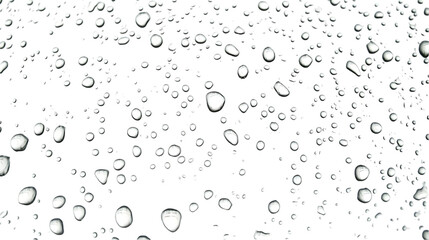 Abstract White Dots On Black Background Isolated Illustration