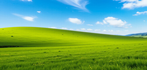 Obraz premium A vibrant green hill gently rolls under a bright blue sky scattered with fluffy white clouds. The landscape is peaceful and idyllic, showcasing the beauty of nature.