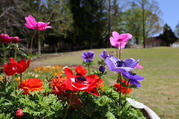 Fototapete bei efototapeten.de bestellen   